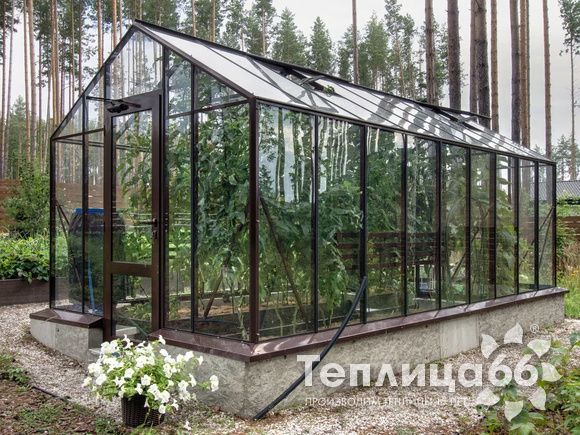 Теплица botanik standard под стекло, ширина 2,8 м